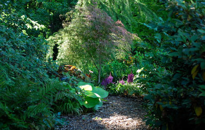 Set Your Shade Garden Aglow With Light