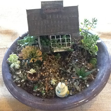Fairy Garden-----A refreshing change of pace