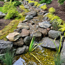 side yard