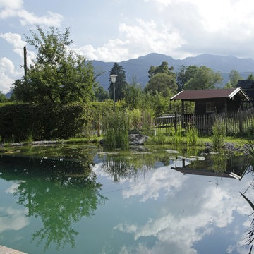 Swimmingteich Biotop