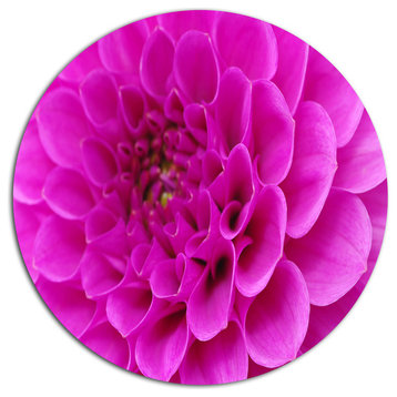 Purple Flower With Close-Up Petals, Floral Disc Metal Wall Art, 11"