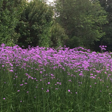 Calais Flower