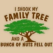 Daniel Wallace's photo