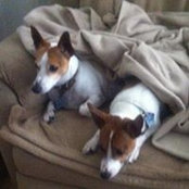 Kimberly Csikos's photo