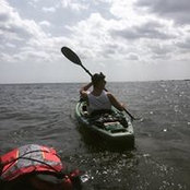 David Cordeiro's photo