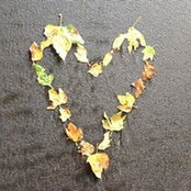 Natalie McKinnon's photo