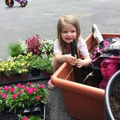 Chrissy Kammerer's photo