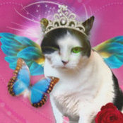 Photo de christa williams