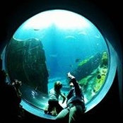 Ray Johnson's photo