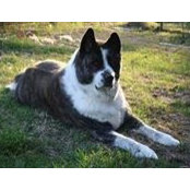 Brenda Dunham's photo
