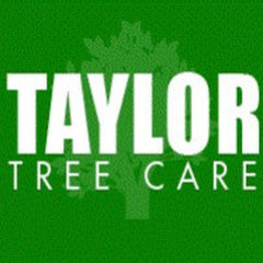 TAYLOR TREE CARE