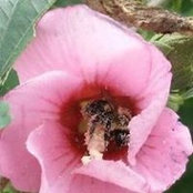 Amy Roby's photo