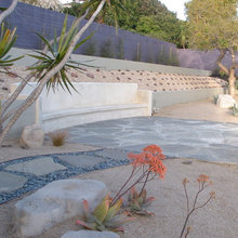 Drought Tolerant Garden