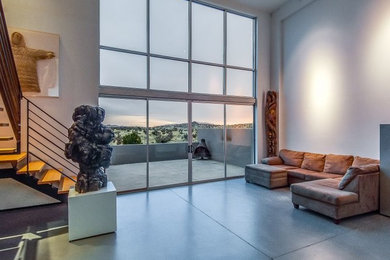 Living room - contemporary living room idea in Albuquerque