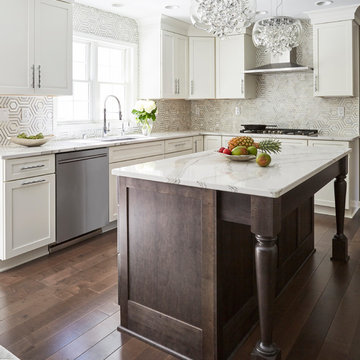 Mequon Contemporary Kitchen