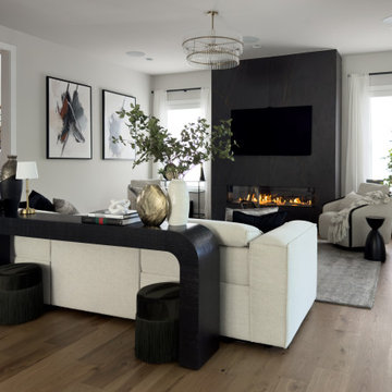 Contemporary Living Room