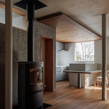 Renovation in Sinjyou