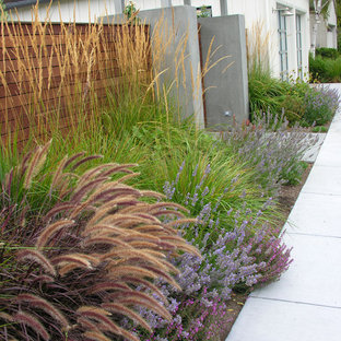 Cette image montre un petit jardin avant minimaliste l'automne avec une entrée ou une allée de jardin, une exposition ensoleillée et des pavés en béton.