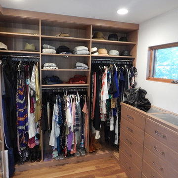 Walk In Display Closet