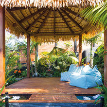 Back yard ideas