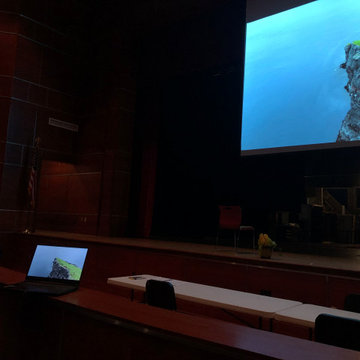 Auditorium Revised to Professional Status 4K