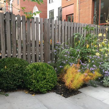 Modern Garden with Curved Corten Border