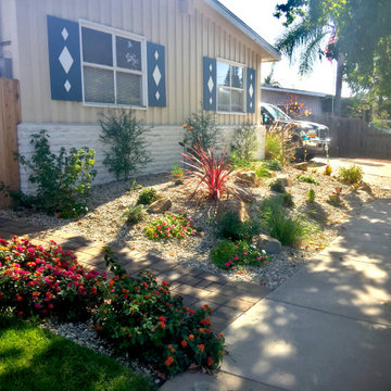 Serra Mesa Butterfly Garden