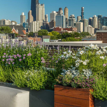 Fulton Market Panorama