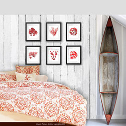 Red Seaweeds Home Decor art prints - Products