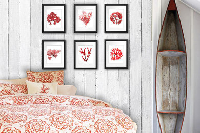 Red Seaweeds Home Decor art prints