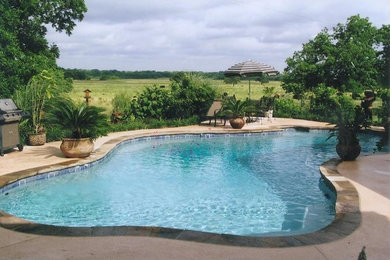 Pool - mid-sized traditional backyard custom-shaped pool idea in Dallas