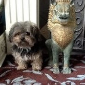 Franca Ricupero-Groves's photo