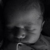 Michael Lewis's photo