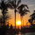 renee_s55