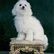 Janette Sicardo's photo