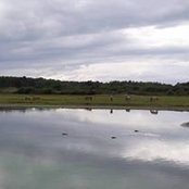 Foto von Sabrine Cailloix