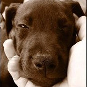 Shawn Fedigan's photo