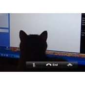 Danlu Fu's photo