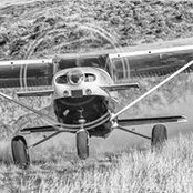 Steve Miller's photo