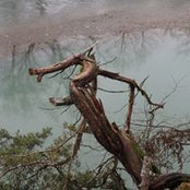 Tom Harriss foto