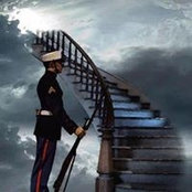 Dianne Travers's photo