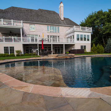 Freeform Pool in Libertyville, IL