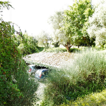 Giardino Villa "L'Apparita"