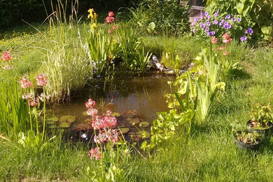 This is an example of a garden in Devon.