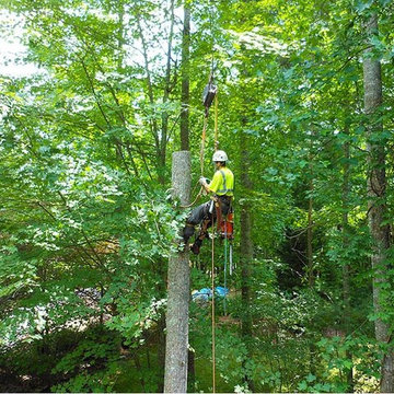 Tree Solutions