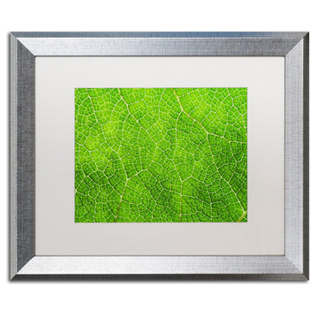 Cora Niele 'Leaf Texture VII' Matted Framed Art