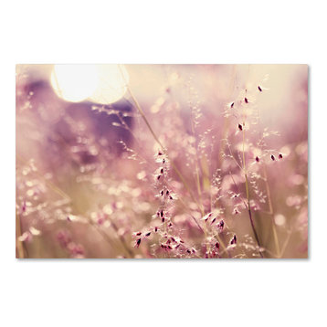 Beata Czyzowska Young 'Afternoon Tales' Canvas Art, 30"x47"