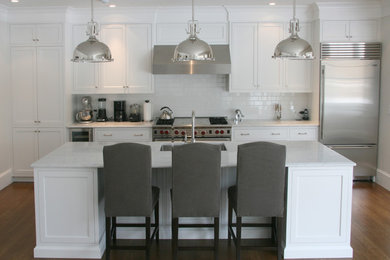 This is an example of a contemporary kitchen in New York.