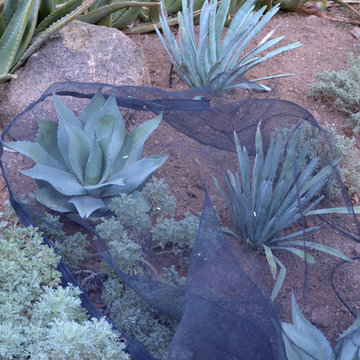 Landscape Maintenance