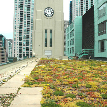 Green Roofs
